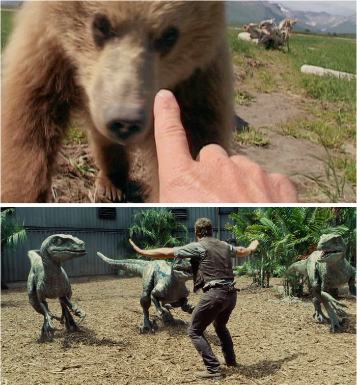 Grizzly man / Jurassic world (Colin Trevorrow, 2015).