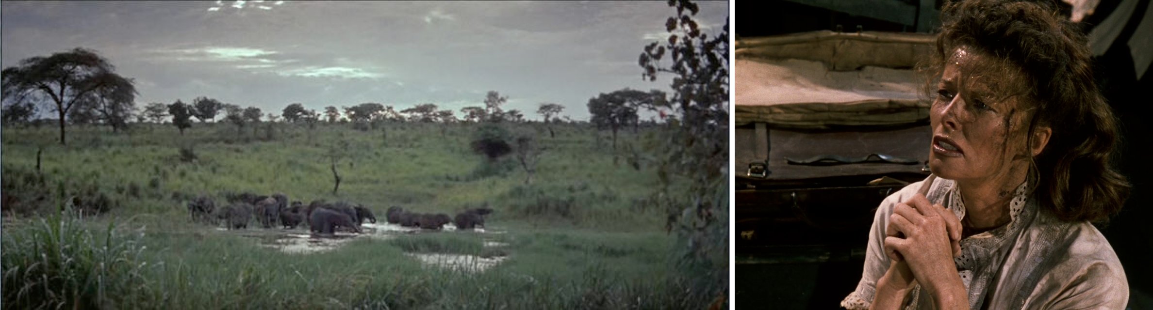 Les Moissons du ciel (John Huston ) / African queen.
