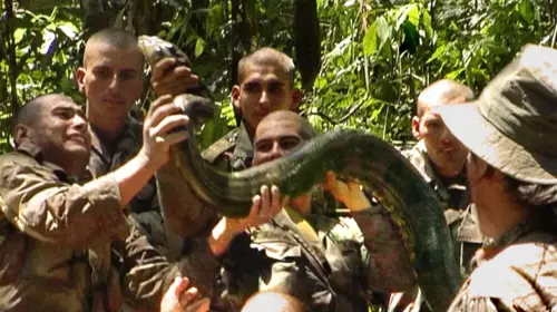 L'homme aux serpents